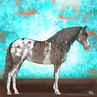 Horse Color:White Spotted Liver Red Dun Appaloosa 