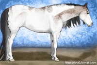 Horse Color:White Spotted Bay Tobiano 
