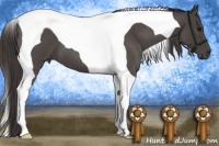 Horse Color:Smoky Blue Roan Tobiano 