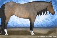 Horse Color:Brown Roan Rabicano 