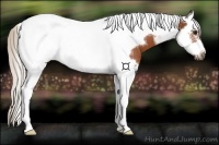 Horse Color:White Spotted Silver Brown Splash Tobiano Frame Rabicano