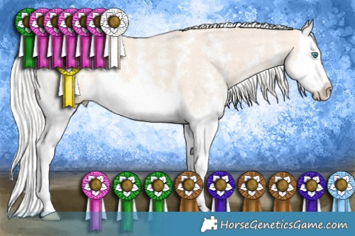 Horse Color:Silver Perlino Sabino Splash 
