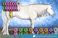 Horse Color:Silver Perlino Sabino Splash
