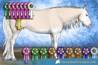 Horse Color:Silver Perlino Sabino Splash 
