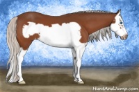 Horse Color:Silver Brown Splash Frame Appaloosa 