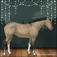 Horse Color:Brown Dun Sabino 