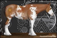 Horse Color:Bay Sabino Rabicano 