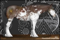 Horse Color:Brown Sabino Rabicano