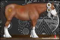 Horse Color:Bay Sabino 