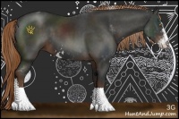 Horse Color:Liver Chestnut Sabino 