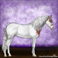 Horse Color:Silver Blue Onyx Splash Tobiano Frame 