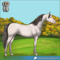 Horse Color:Platinum Amber Champagne 