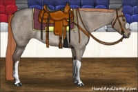 Horse Color:Liver Red Dun Roan Rabicano 