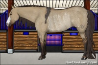 Horse Color:Liver Red Dun Rabicano 