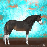 Horse Color:Liver Chestnut Splash 