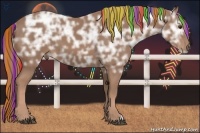 Horse Color:Painted Chestnut Ice 