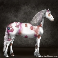Horse Color:White Spotted Silver Bay Splash Appaloosa 