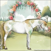 Horse Color:White Spotted Red Roan Splash