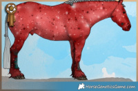 Horse Color:ERROR: UNKNOWN ANOMALY