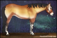 Horse Color:Bay Onyx 