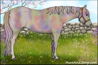 Horse Color:Platinum Nacre Chestnut 