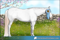 Horse Color:Liver Red Dun Appaloosa Brindle 