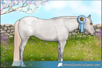 Horse Color:Liver Red Dun Appaloosa Brindle