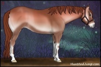 Horse Color:Red Onyx 