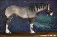 Horse Color:Blue Onyx