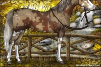 Horse Color:Liver Chestnut Splash  and Chocolate Palomino Dun Splash 