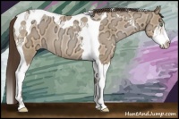 Horse Color:Amber Champagne Ice Roan Splash Tobiano 