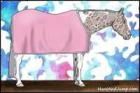 Horse Color:Watercolor Amber Cream Champagne Ice Pearl Tobiano Rabicano