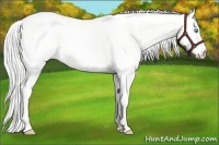Horse Color:Silver Perlino Dun 