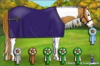 Horse Color:Chestnut Splash Tobiano