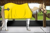 Horse Color:Red Dun Tobiano 