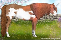 Horse Color:Chestnut Frame 