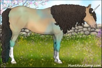 Horse Color:Amber Champagne 