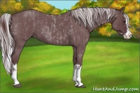 Horse Color:Chocolate Blue Chinchilla Roan Sabino Splash  and Chocolate Silver Blue Chinchilla Roan Sabino Splash 