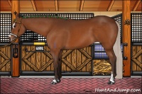 Horse Color:Silver Brown Sabino 