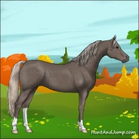 Horse Color:Silver Black 