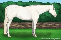 Horse Color:Buckskin Roan Pearl  and Amber Cream Champagne Roan Pearl 