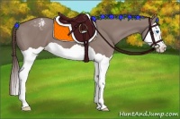 Horse Color:Chocolate Grullo Splash Appaloosa 
