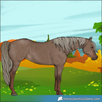 Horse Color:Liver Red Dun Mushroom Brindle