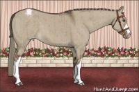 Horse Color:Liver Red Dun Mushroom Varnish Brindle 