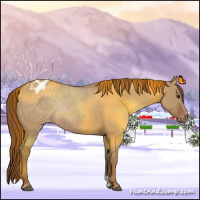Horse Color:Red Dun Varnish