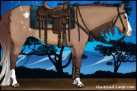 Horse Color:Chocolate Brown Dun Splash Appaloosa Brindle