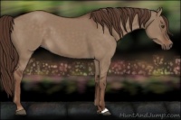 Horse Color:Liver Red Dun 
