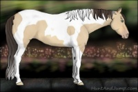 Horse Color:Amber Champagne Roan Dun Tobiano 