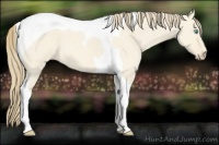 Horse Color:Perlino Roan Dun Tobiano 