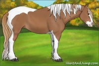 Horse Color:Chestnut Splash Tobiano 